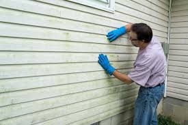 Best Historical Building Siding Restoration  in East Pasadena, CA